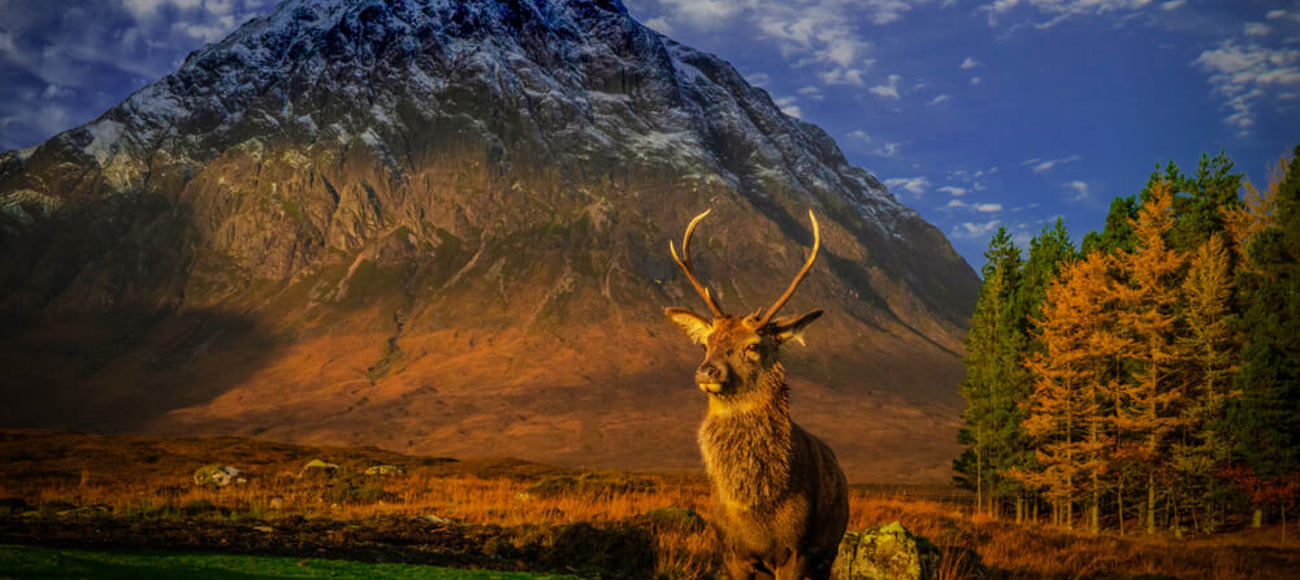 Buachaille Etive Mòr