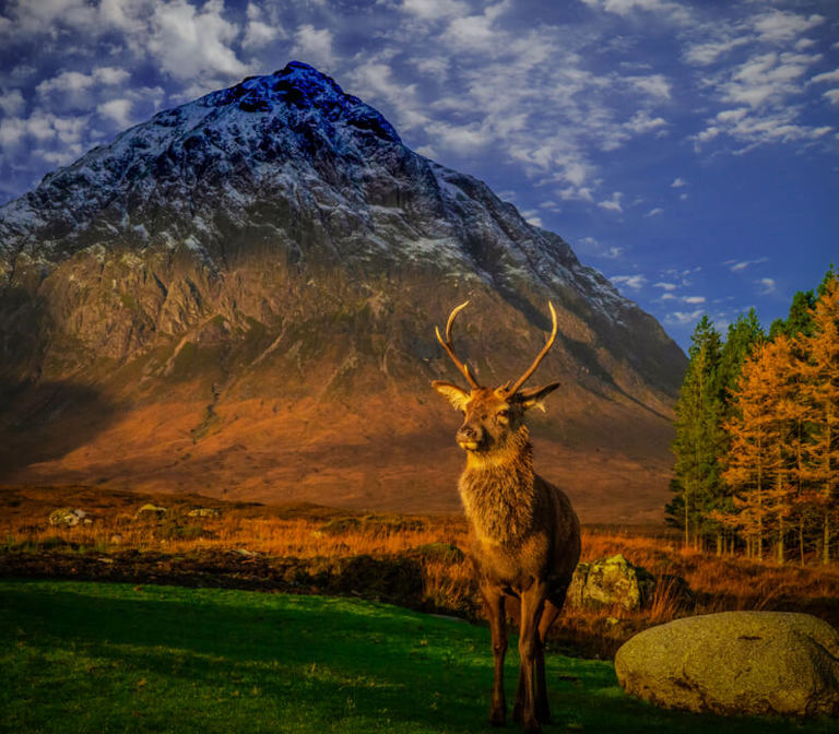 Buachaille Etive Mòr